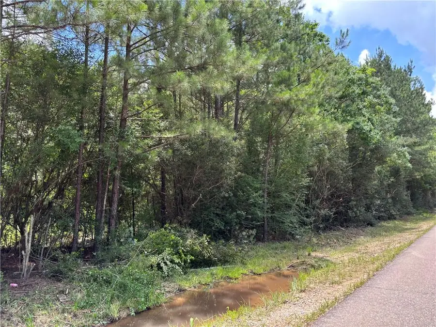 1.529 AC Trappers Run, Albany, LA 70711 - #2