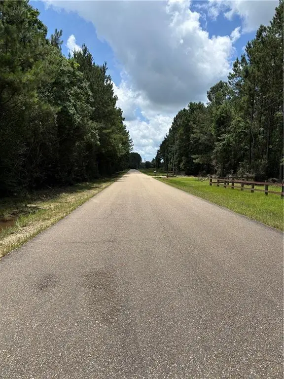 1.529 AC Trappers Run, Albany, LA 70711 - #3