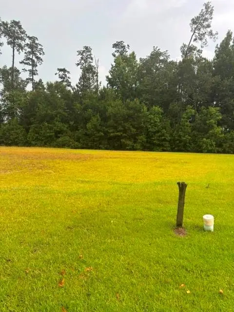 19517 Par Lane, Hammond, LA 70401 - #1