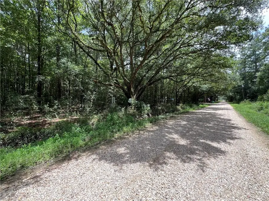 00000 Eagle Street, Abita Springs, LA 70420 - #2