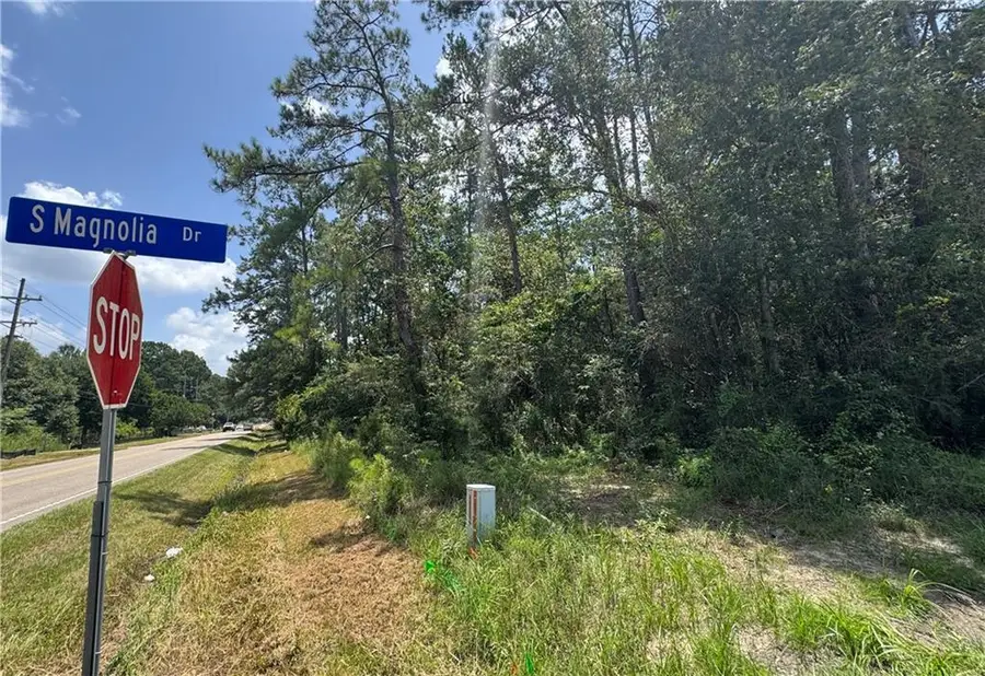 71246 S Magnolia Drive, Covington, LA 70433 - #2