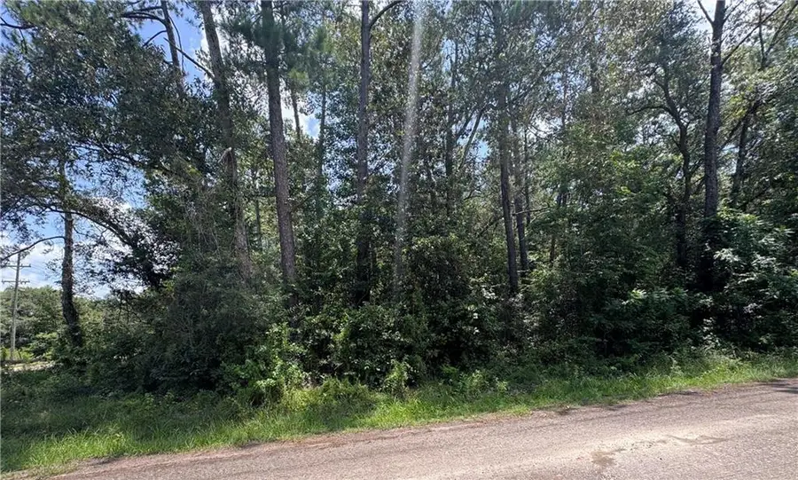 71246 S Magnolia Drive, Covington, LA 70433 - #3