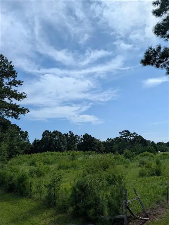 81166 Hwy 1083 Highway, Bush, LA 70431 - #1