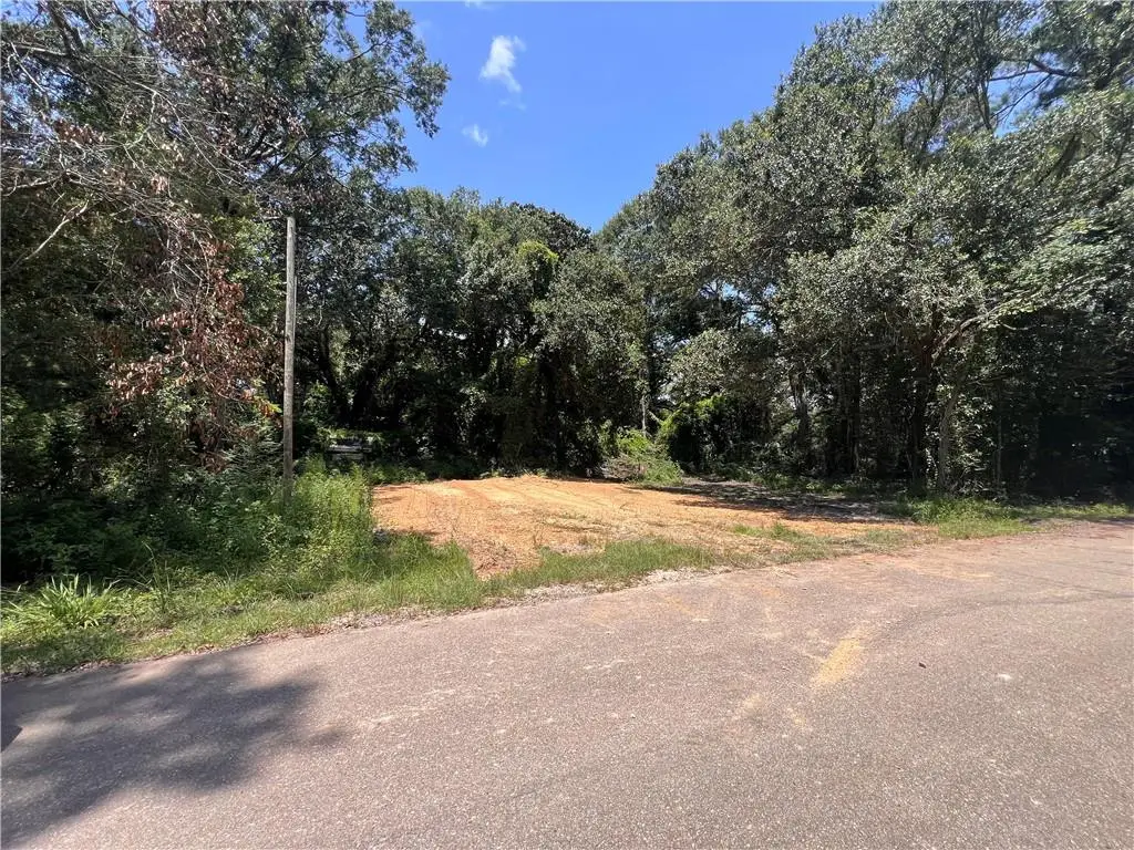 Lot 1 Mill Road, Abita Springs, LA 70420 - #1