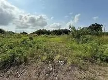 LOT L-2 Langston Lane, Port Sulphur, LA 70083 - #1