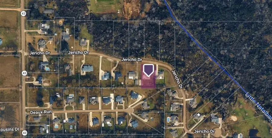 30210 Jericho Drive, Albany, LA 70711 - #3