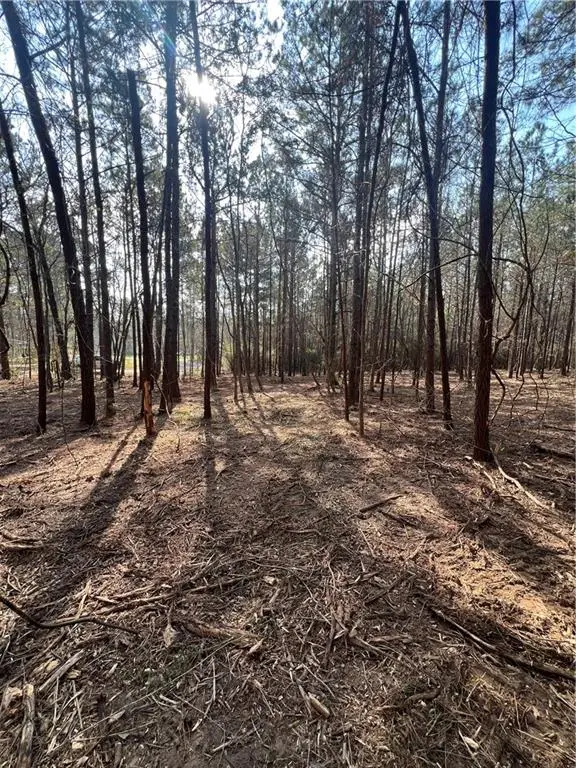 0 Chadwick Loop, Pineville, LA 71360 - #1