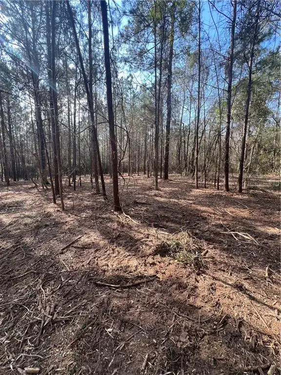 0 Chadwick Loop, Pineville, LA 71360 - #3