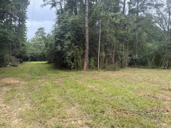 12293 Highway 40 Highway, Folsom, LA 70437