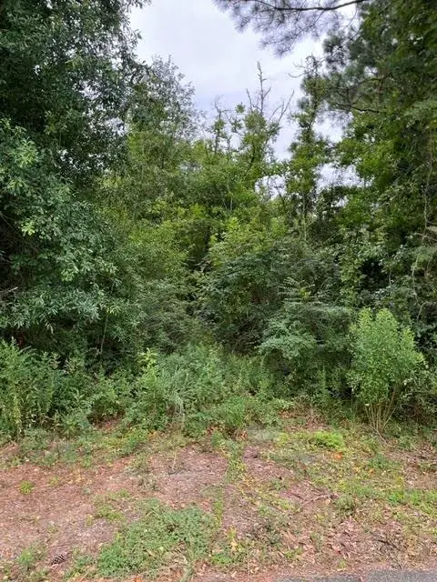 44064 Highway 445 Highway, Robert, LA 70455 - #1