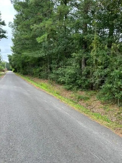44064 Highway 445 Highway, Robert, LA 70455 - #2