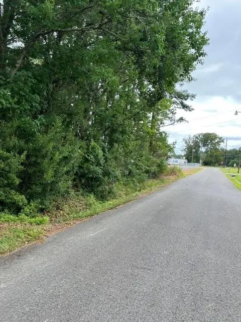 44064 Highway 445 Highway, Robert, LA 70455 - #3
