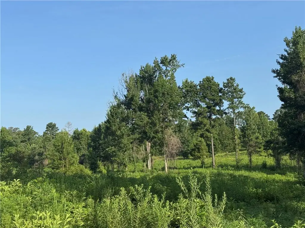 Hwy 1200, Boyce, LA 71409 - #1