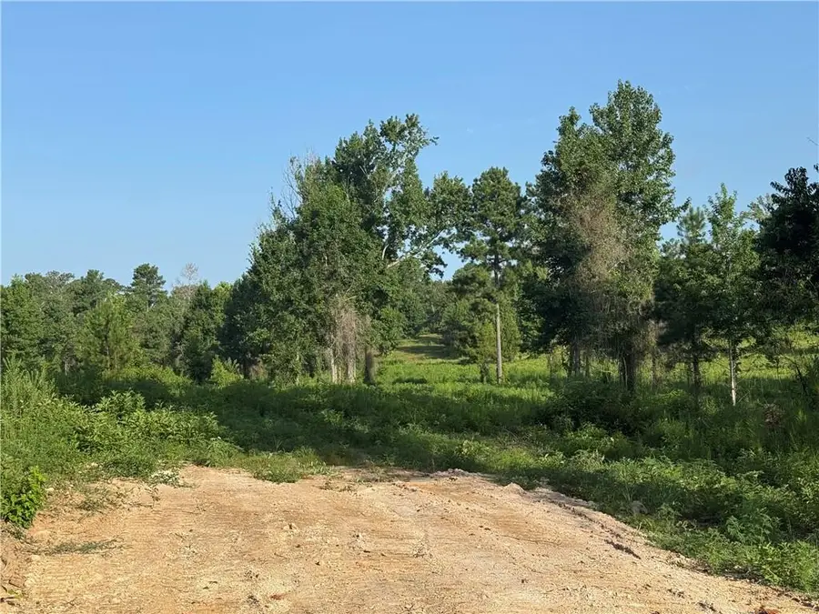 Hwy 1200, Boyce, LA 71409 - #2