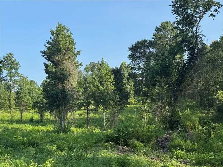 Hwy 1200, Boyce, LA 71409 - #3