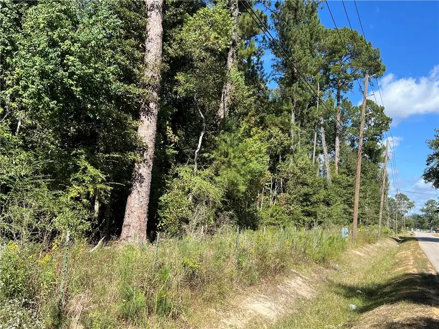 Fontana Road, Independence, LA 70443 - #2