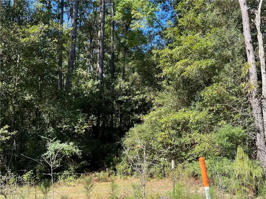 Fontana Road, Independence, LA 70443 - #3