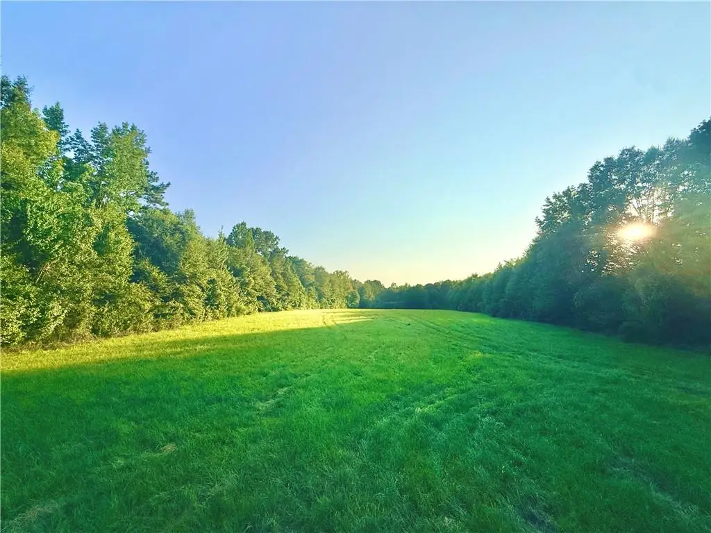 TBD Lot3 Richardson Oaks Lane, Franklinton, LA 70438 - #1