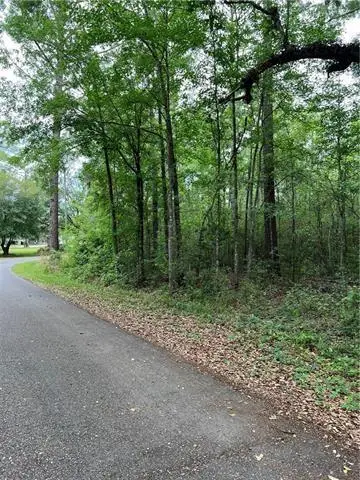 30473 Country Lane, Bush, LA 70431 - #3