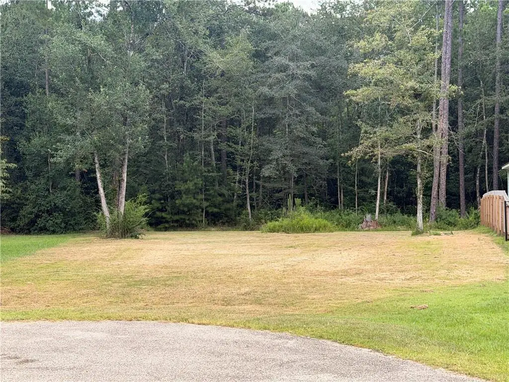 71024 Golden Street, Abita Springs, LA 70420 - #1