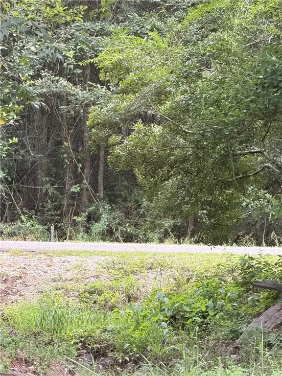 71024 Golden Street, Abita Springs, LA 70420 - #3
