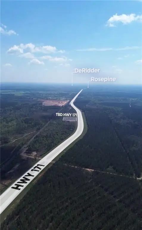 TBD Hwy 171, Leesville, LA 71446 - #3