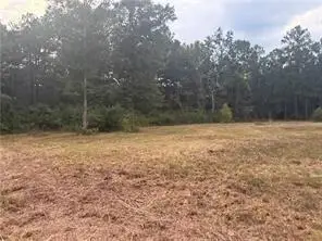 TBD Hwy 1241 Highway, Colfax, LA 71417 - #3