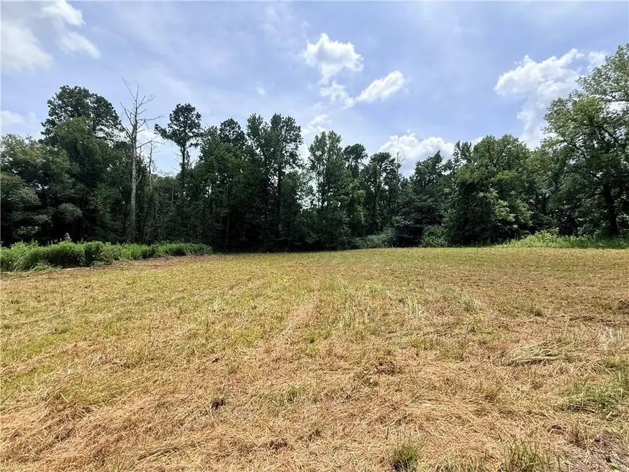 32 Beaubouef Road, Deville, LA 71328 - #3
