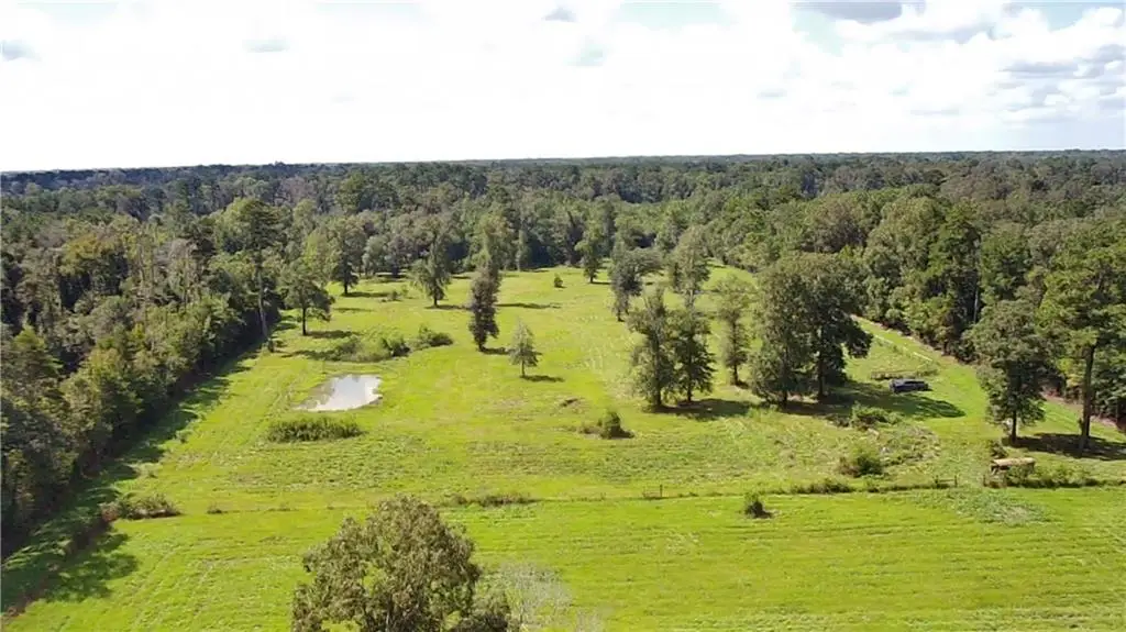 lot 1 Carew Harris Road, Denham Springs, LA 70726 - #1