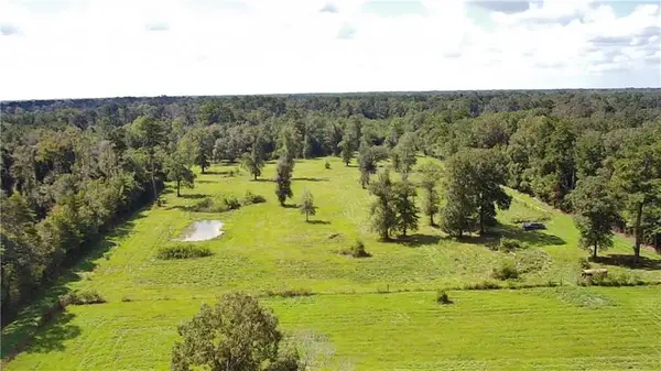 lot 1 Carew Harris Road, Denham Springs, LA 70726