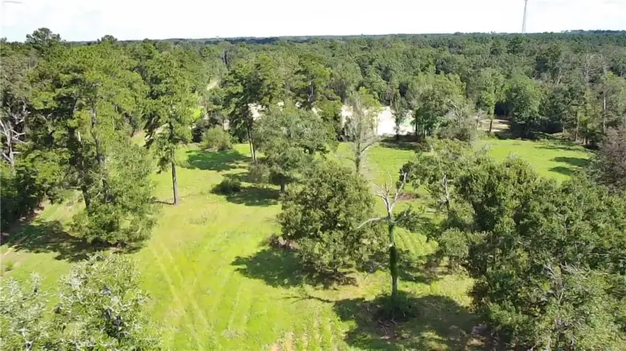 lot 1 Carew Harris Road, Denham Springs, LA 70726 - #2