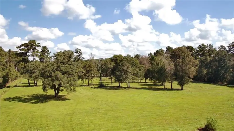 lot 1 Carew Harris Road, Denham Springs, LA 70726 - #3