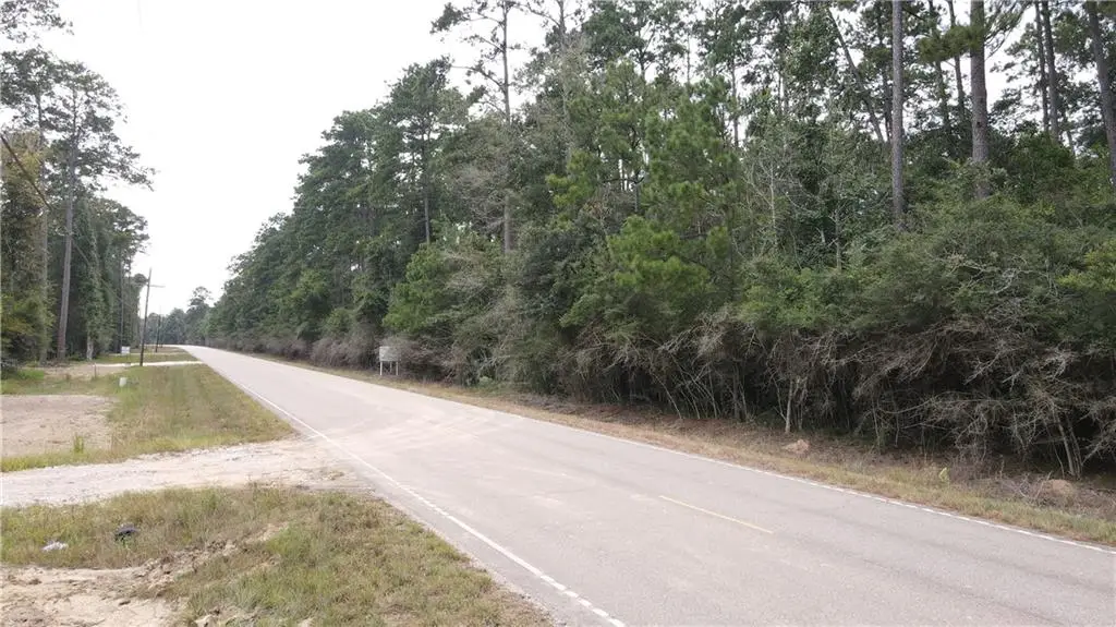 TBD Highway 444 Lot C-6, Springfield, LA 70462 - #1