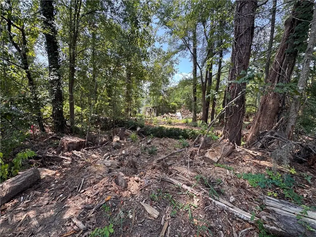 159 Hall Subdivision Road, Montgomery, LA 71454 - #1