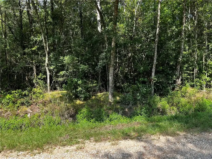 Lot 4 Trap Street, Abita Springs, LA 70420 - #2