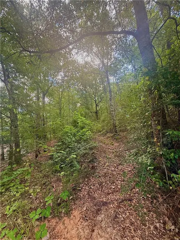 TBD 21 Acres Hwy 430 Highway, Franklinton, LA 70438 - #1