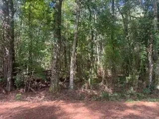 0 Lock No 2 Road, Bush, LA 70431 - #2