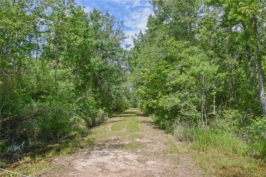 50278 (lot 6) Allen Drive, Loranger, LA 70446 - #3