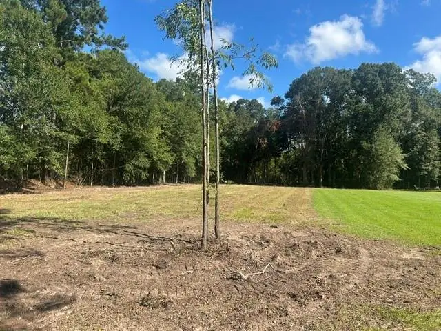 Stepp Road, Robert, LA 70455 - #2