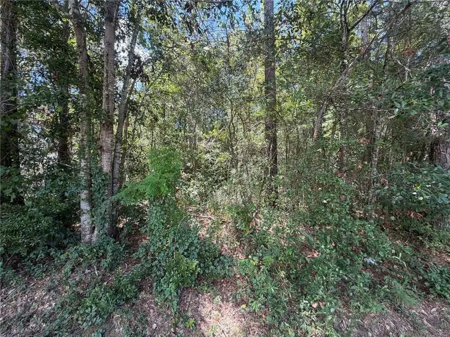 0 Lydia Street, Lacombe, LA 70445 - #3
