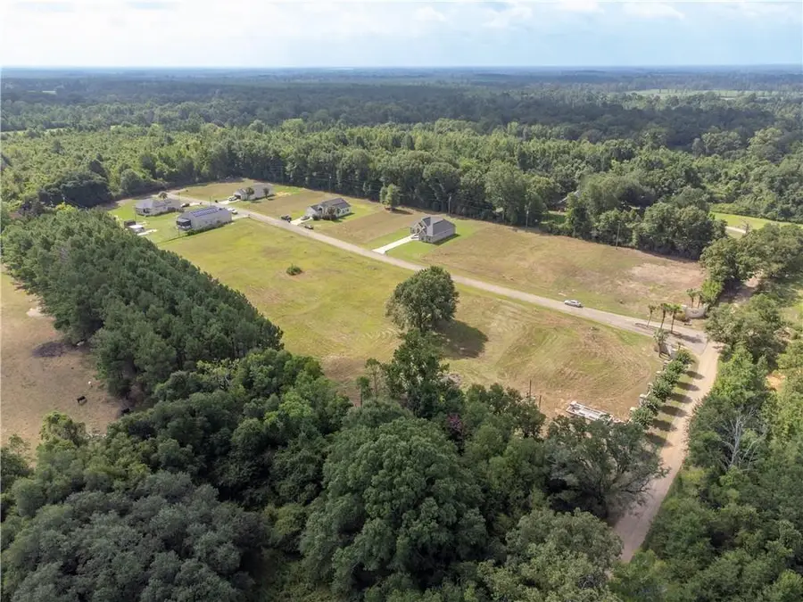 5 Charles Davis Lane, Amite, LA 70422 - #3