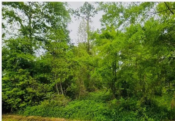 Lot 68 Magnolia Drive, Ponchatoula, LA 70454