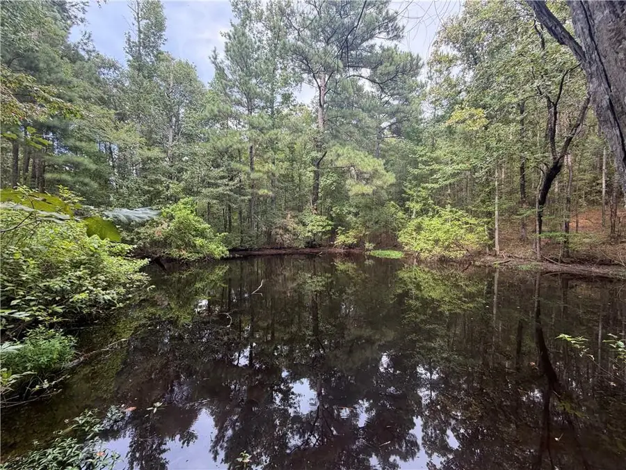 0 Hwy 487 Highway, Marthaville, LA 71450 - #2