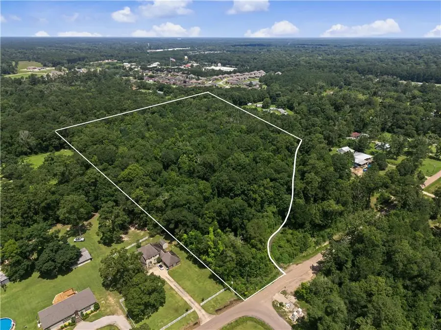 42848 Mike Cooper Road, Ponchatoula, LA 70454 - #2