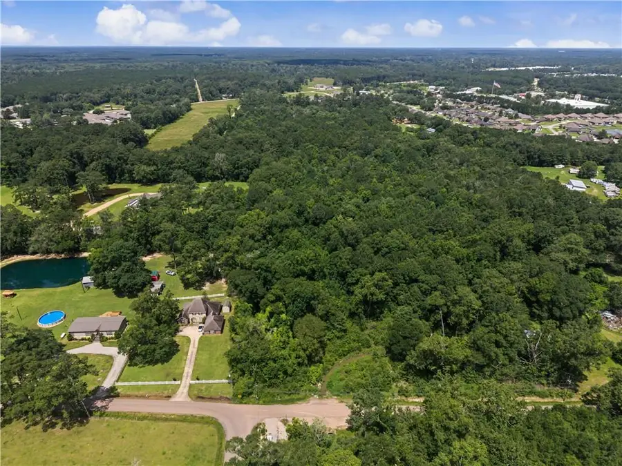 42848 Mike Cooper Road, Ponchatoula, LA 70454 - #3