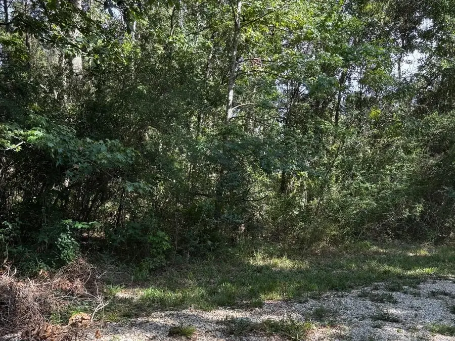 25133 Hwy 190, Lacombe, LA 70445 - #2
