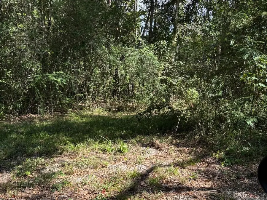 25133 Hwy 190, Lacombe, LA 70445 - #3