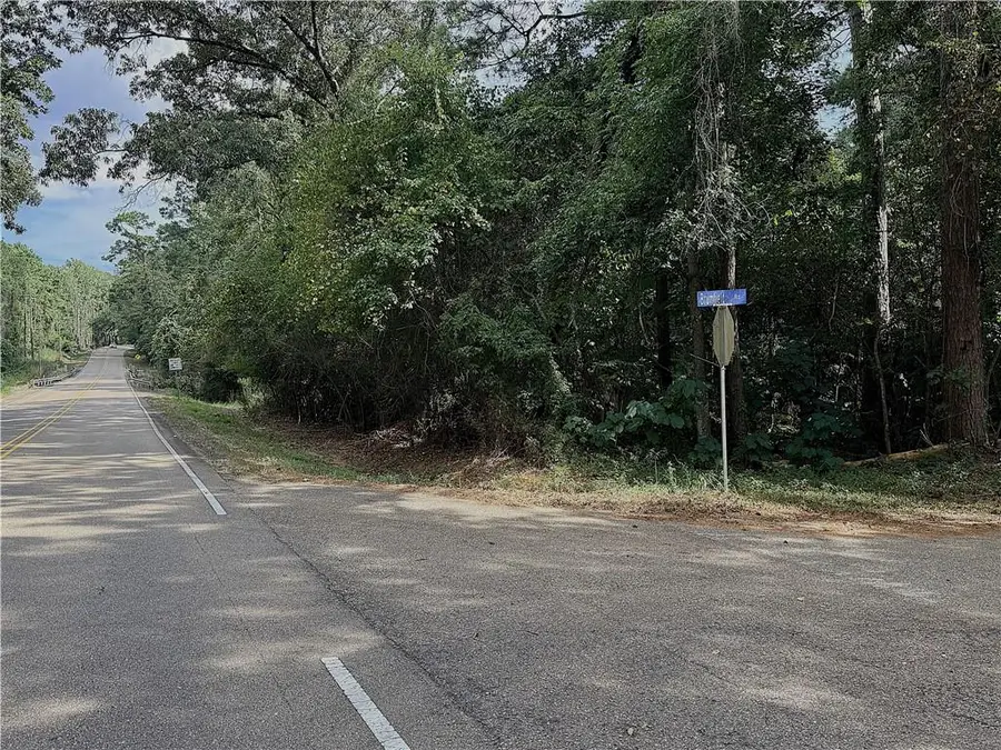 15 Acres Hwy 450 Highway, Folsom, LA 70437 - #2