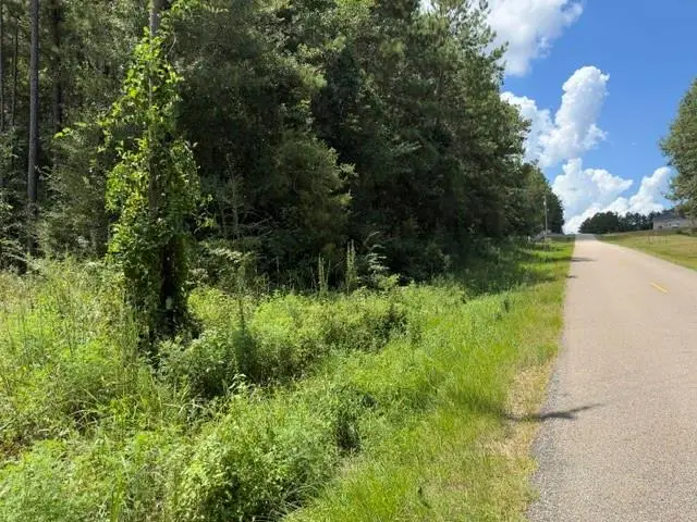 Lot 9 Bethel Road, Franklinton, LA 70438 - #2