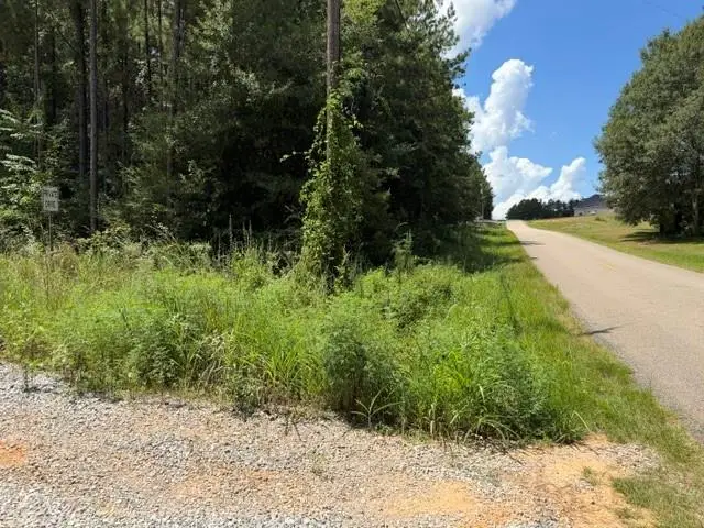 Lot 9 Bethel Road, Franklinton, LA 70438 - #3